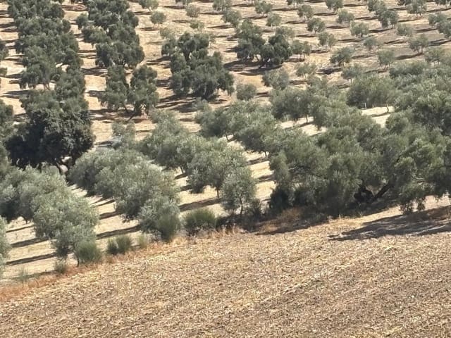 Ubebygd land til salgs i Antequera - € 1 290 000 (Ref: 10171569)