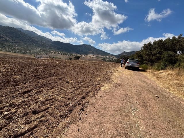 Ubebygd land til salgs i Antequera - € 1 290 000 (Ref: 10171569)
