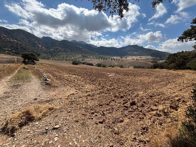 Ubebygd land til salgs i Antequera - € 1 290 000 (Ref: 10171569)