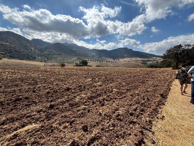 Ubebygd land til salgs i Antequera - € 1 290 000 (Ref: 10171569)