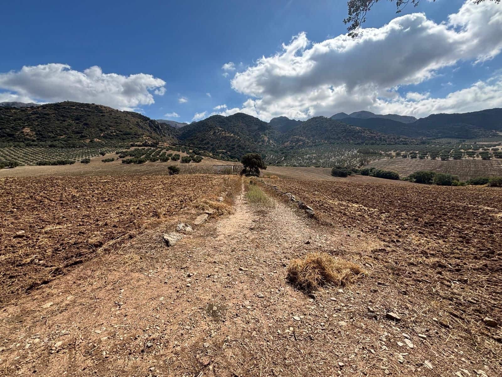 Ubebygd land til salgs i Antequera - € 1 290 000 (Ref: 10171569)