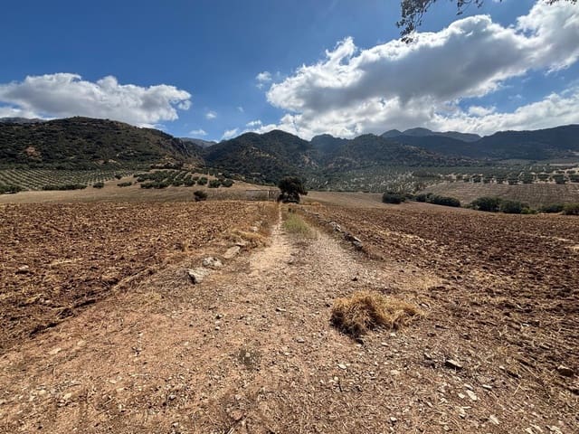 Ubebygd land til salgs i Antequera - € 1 290 000 (Ref: 10171569)
