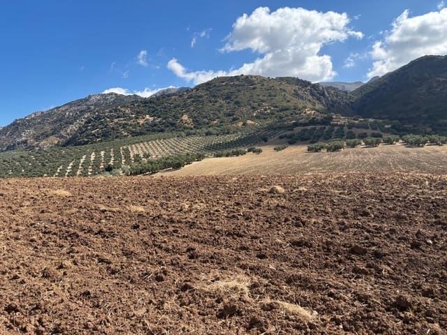 Ubebygd land til salgs i Antequera - € 1 290 000 (Ref: 10171569)