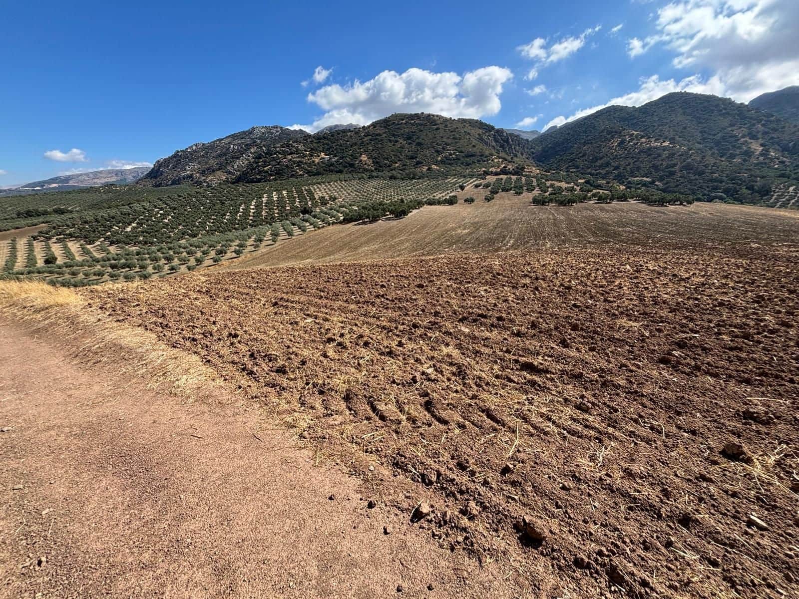 Ubebygd land til salgs i Antequera - € 1 290 000 (Ref: 10171569)