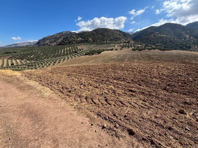 Ubebygd land til salgs i Antequera - € 1 290 000 (Ref: 10171569)