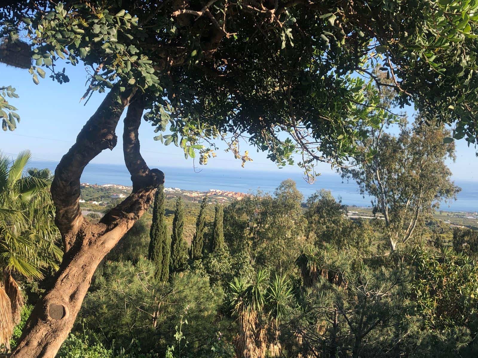 3 camera da letto Villa in vendita in Cajiz con piscina garage - 485.000 € (Rif: 8652266)
