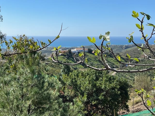 Chalet de 3 habitaciones en Cajiz, Vélez-Málaga en venta con piscina garaje - 485.000 € (Ref: 8652266)