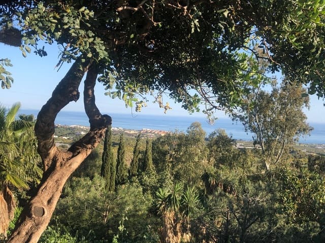 3 camera da letto Villa in vendita in Cajiz, Vélez-Málaga con piscina - 485.000 € (Rif: 8652266)
