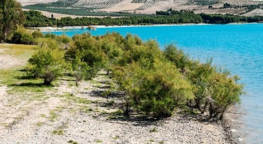 2 chambre Appartement à vendre à Agron - 67 000 € (Ref: 8662631)