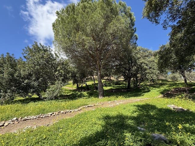 Rakentamaton maa myytävänä paikassa Casares - 400 000 € (Ref: 8841070)