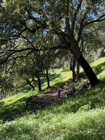 Undeveloped Land for sale in Casares - € 400,000 (Ref: 8841070)