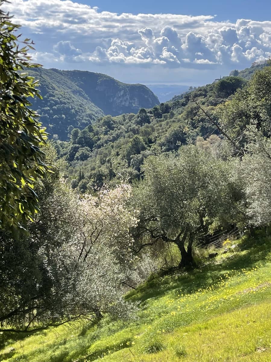 Grunde uden byggetilladelser til salg i Casares - € 400.000 (Ref: 8841070)