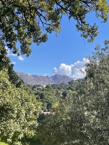 Undeveloped Land for sale in Casares - € 400,000 (Ref: 8841070)