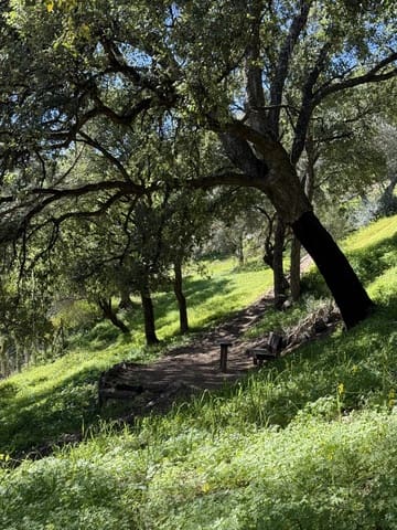 Undeveloped Land for sale in Casares - € 400,000 (Ref: 8841070)