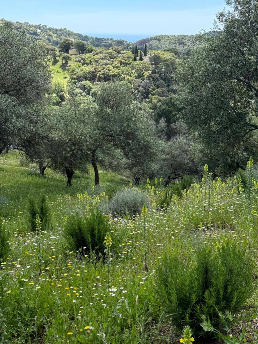 Grunde uden byggetilladelser til salg i Casares - € 400.000 (Ref: 8841070)