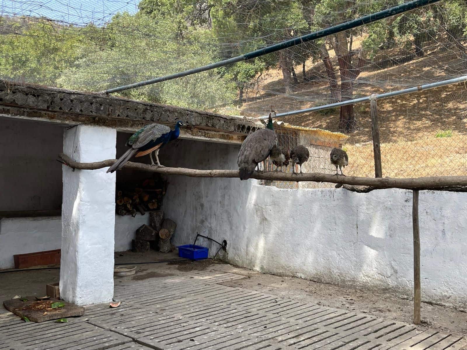 Grunde uden byggetilladelser til salg i Casares - € 400.000 (Ref: 8841070)