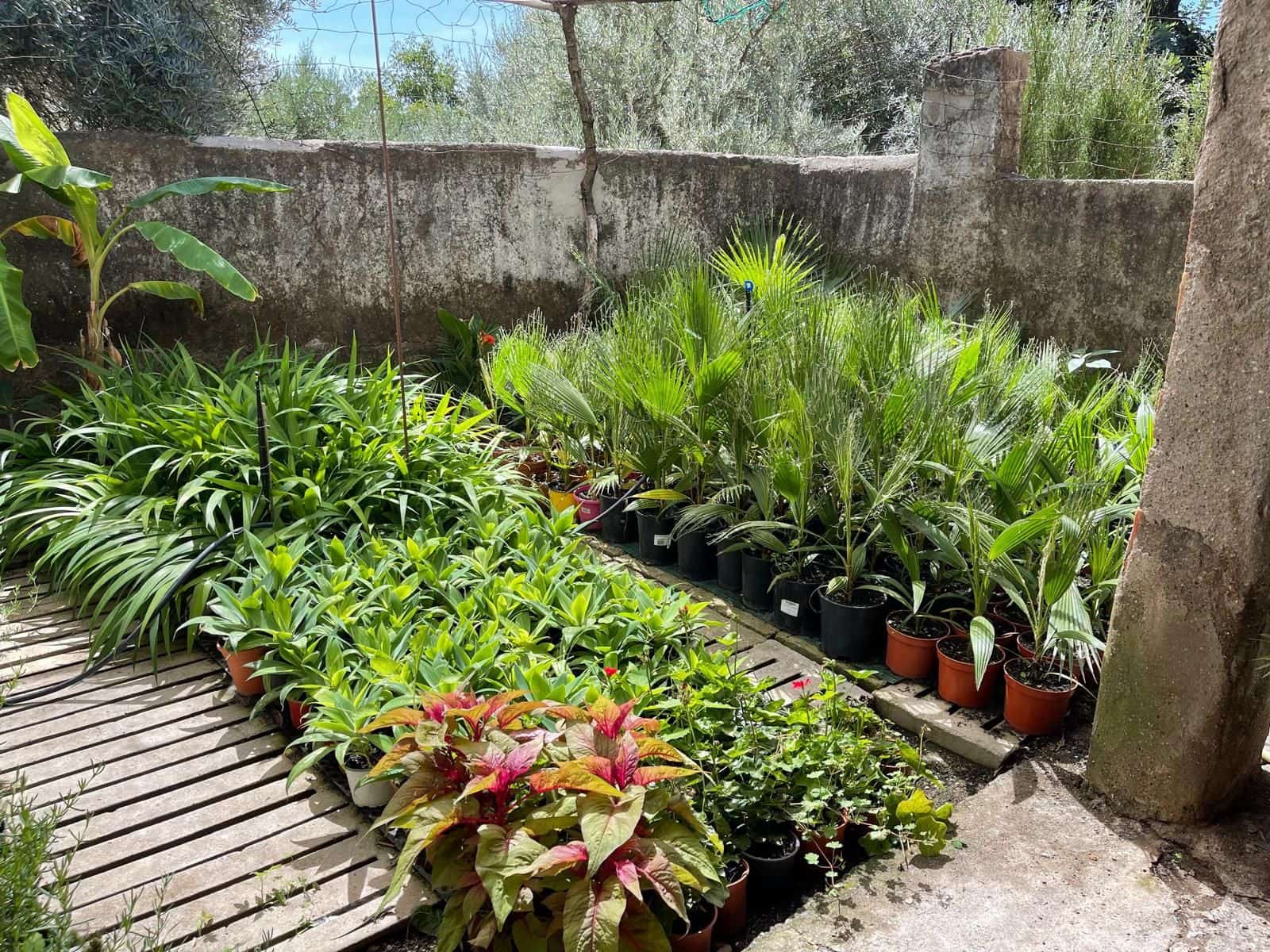 Grunde uden byggetilladelser til salg i Casares - € 400.000 (Ref: 8841070)