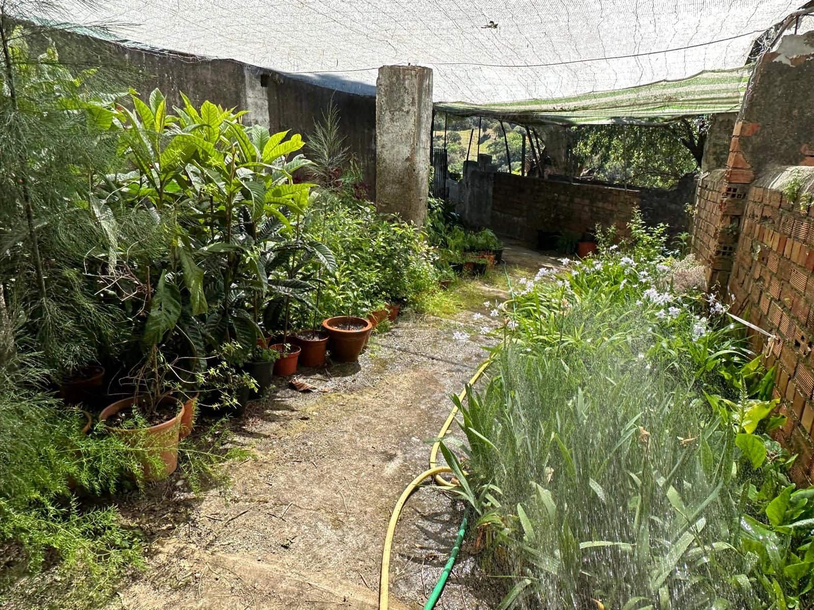 Grunde uden byggetilladelser til salg i Casares - € 400.000 (Ref: 8841070)