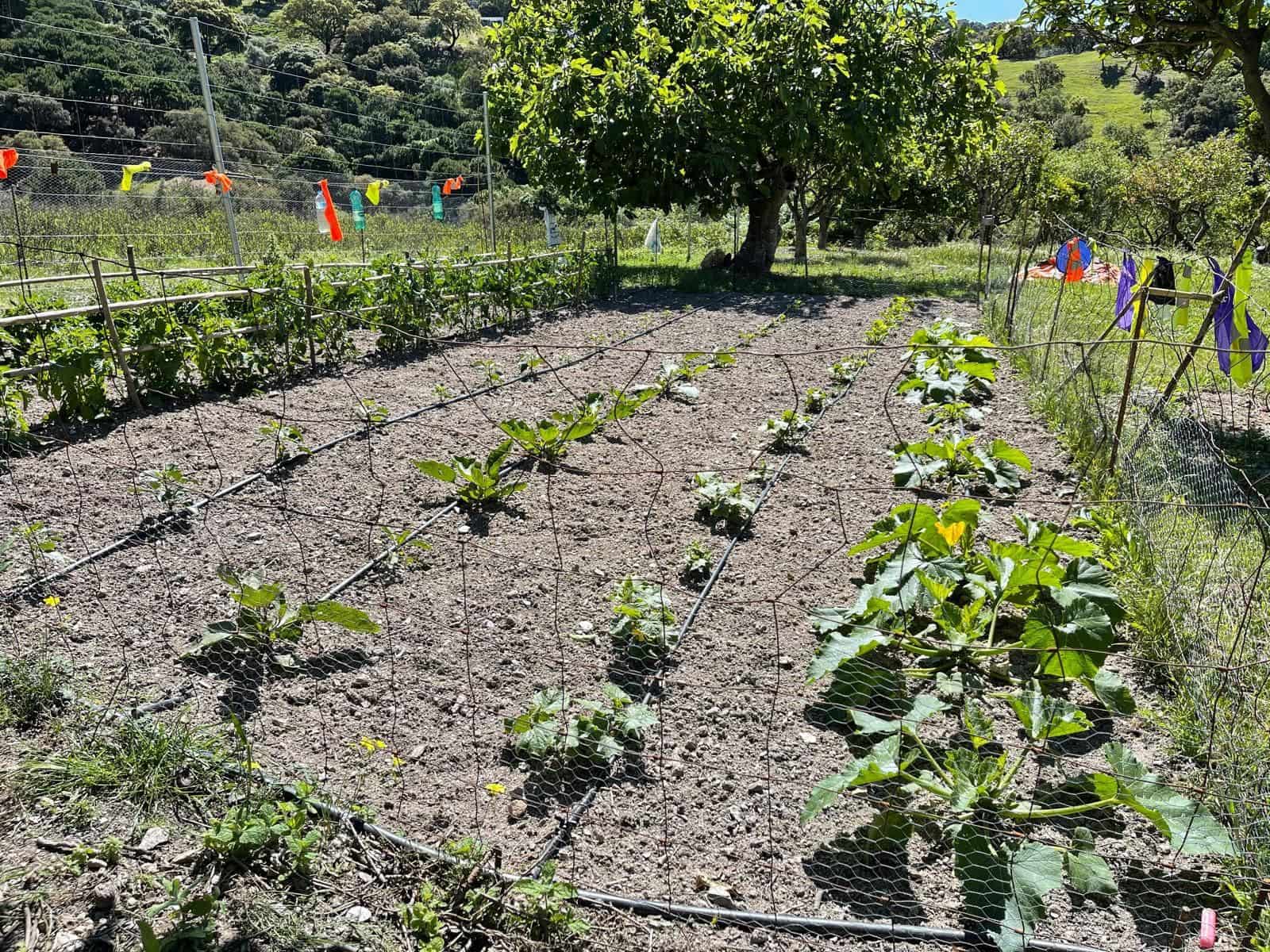 Grunde uden byggetilladelser til salg i Casares - € 400.000 (Ref: 8841070)