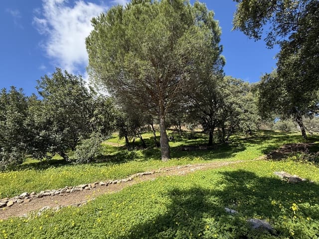 Undeveloped Land for sale in Casares - € 400,000 (Ref: 8841070)