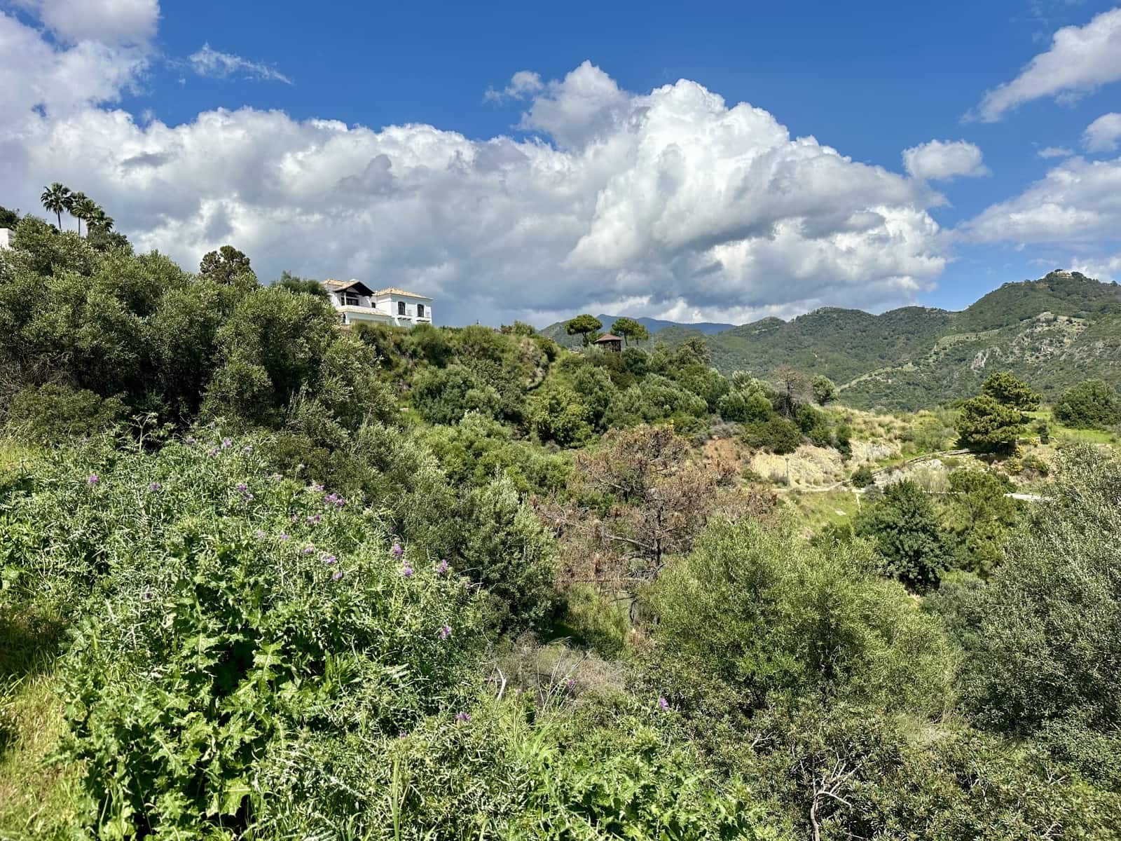 Byggegrund til salg i Benahavis - € 399.000 (Ref: 8915404)