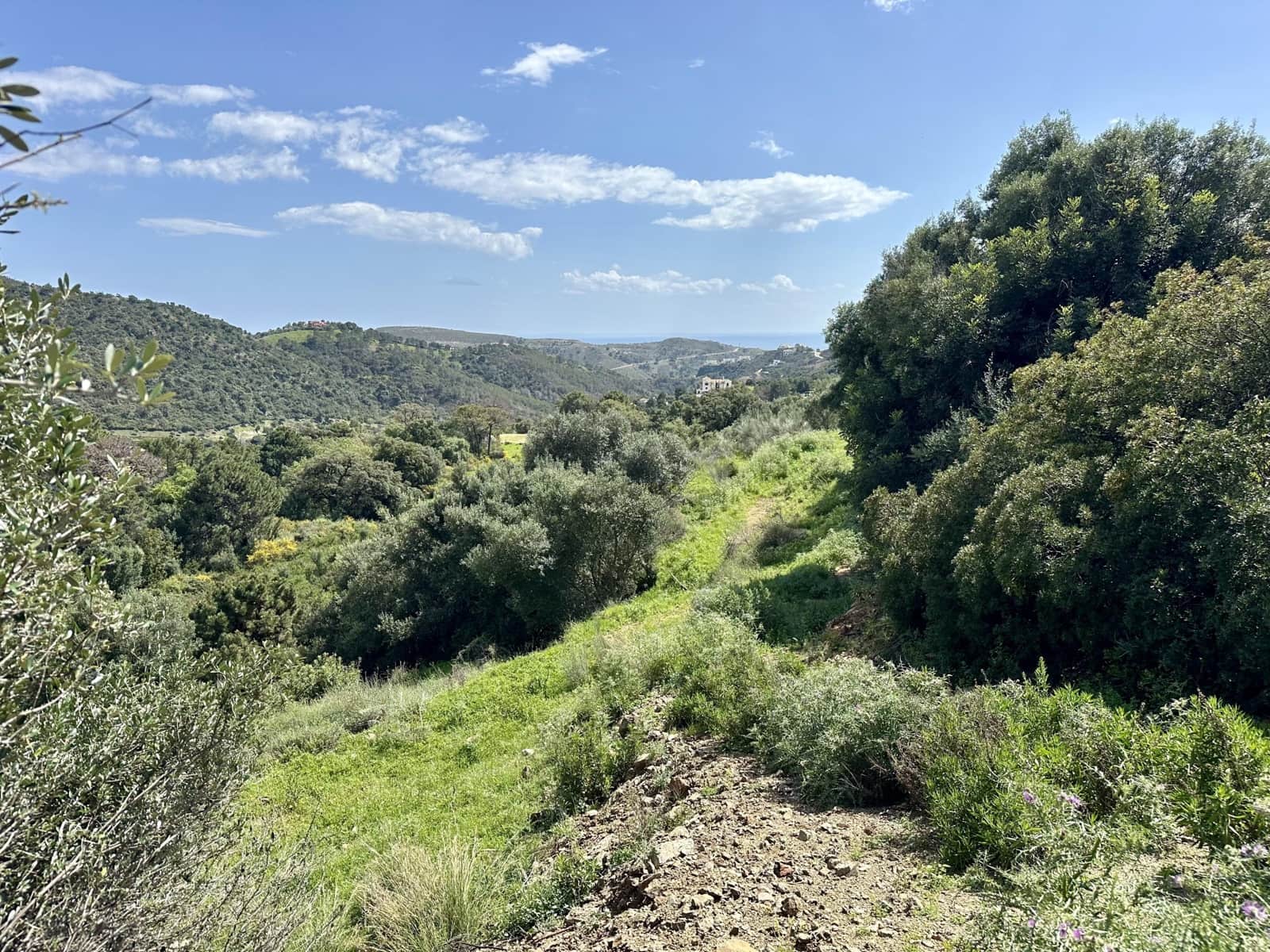 Byggetomt til salgs i Benahavis - € 315 000 (Ref: 8915404)