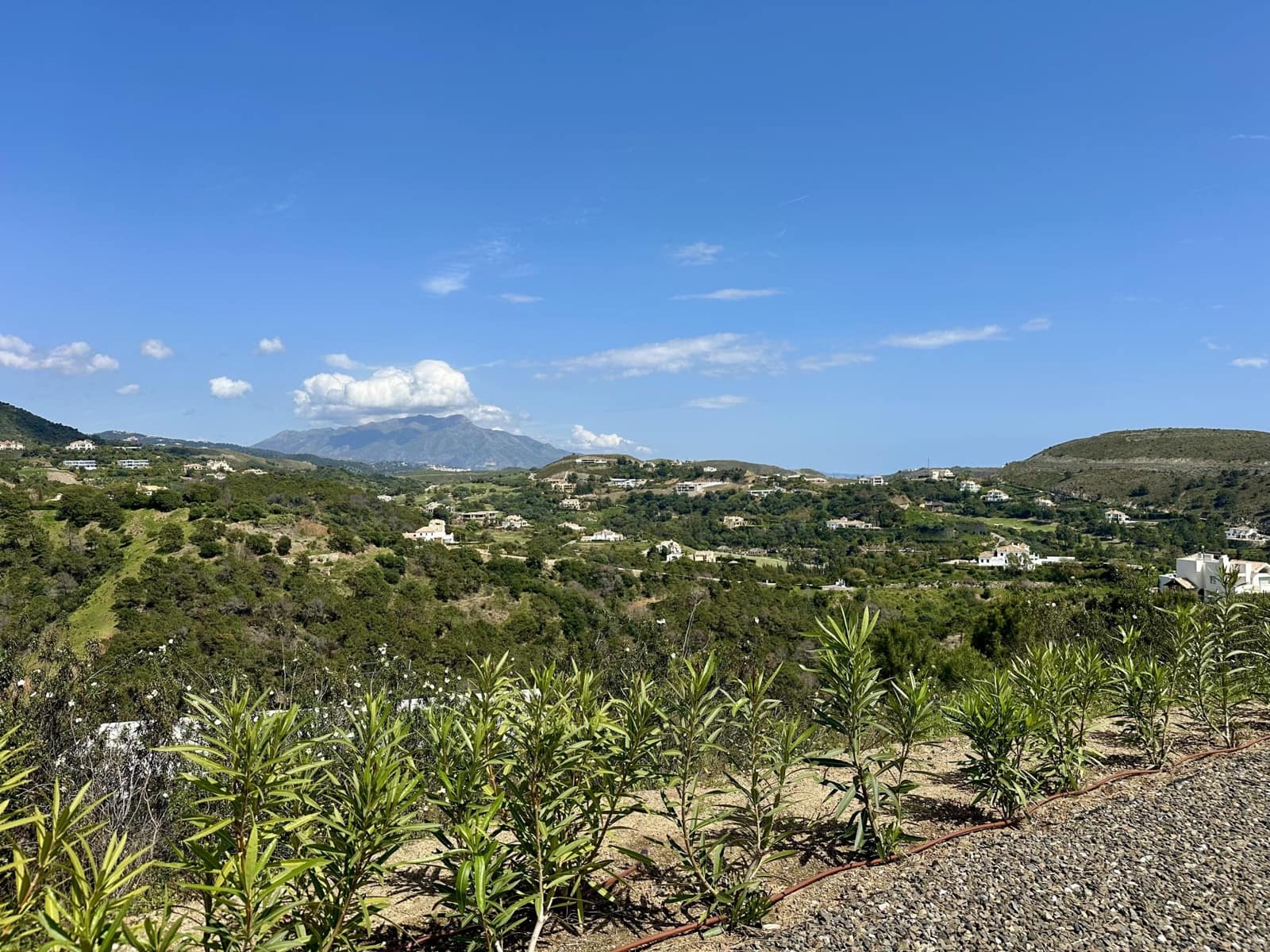 Byggetomt til salgs i Benahavis - € 315 000 (Ref: 8915404)