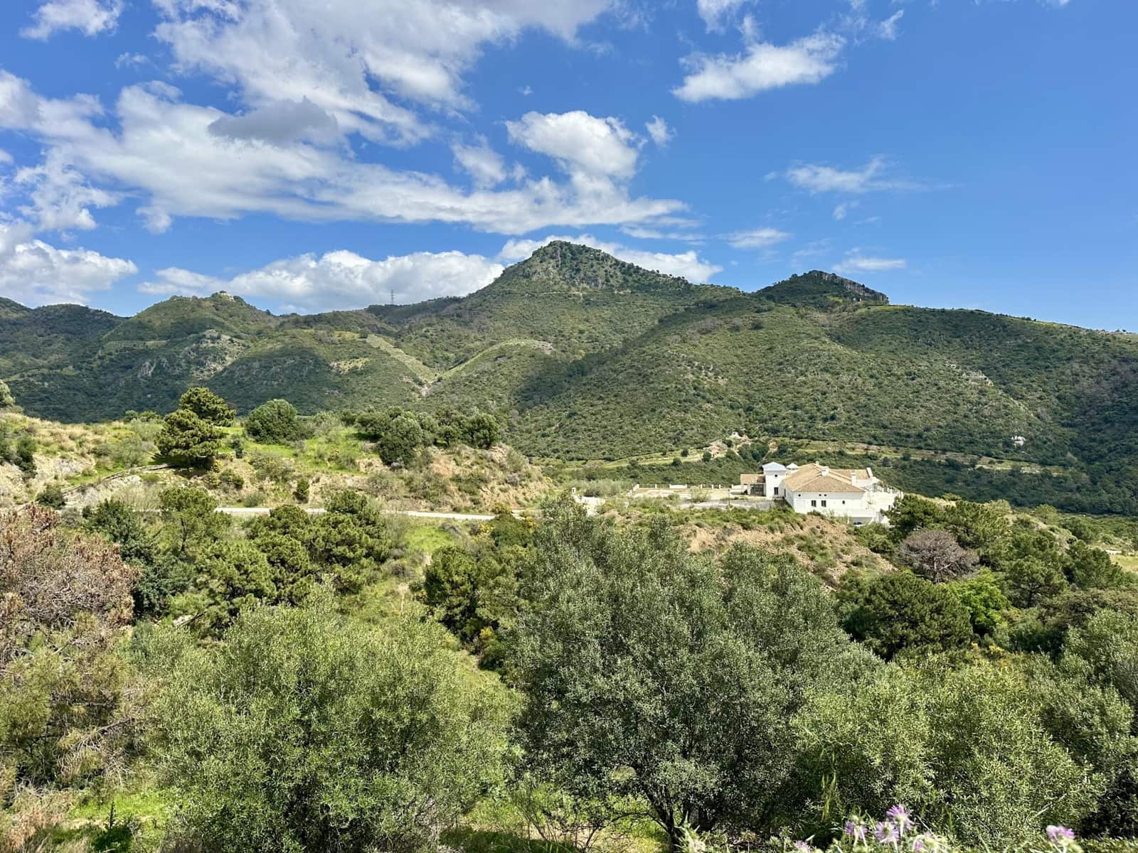 Byggetomt til salgs i Benahavis - € 315 000 (Ref: 8915404)