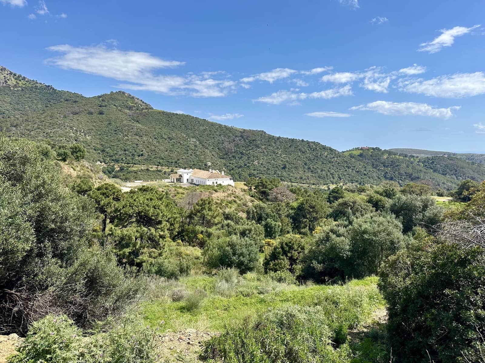 Byggetomt til salgs i Benahavis - € 315 000 (Ref: 8915404)