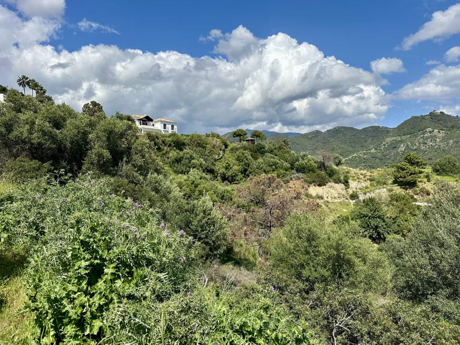 Byggetomt til salgs i Benahavis - € 315 000 (Ref: 8915404)