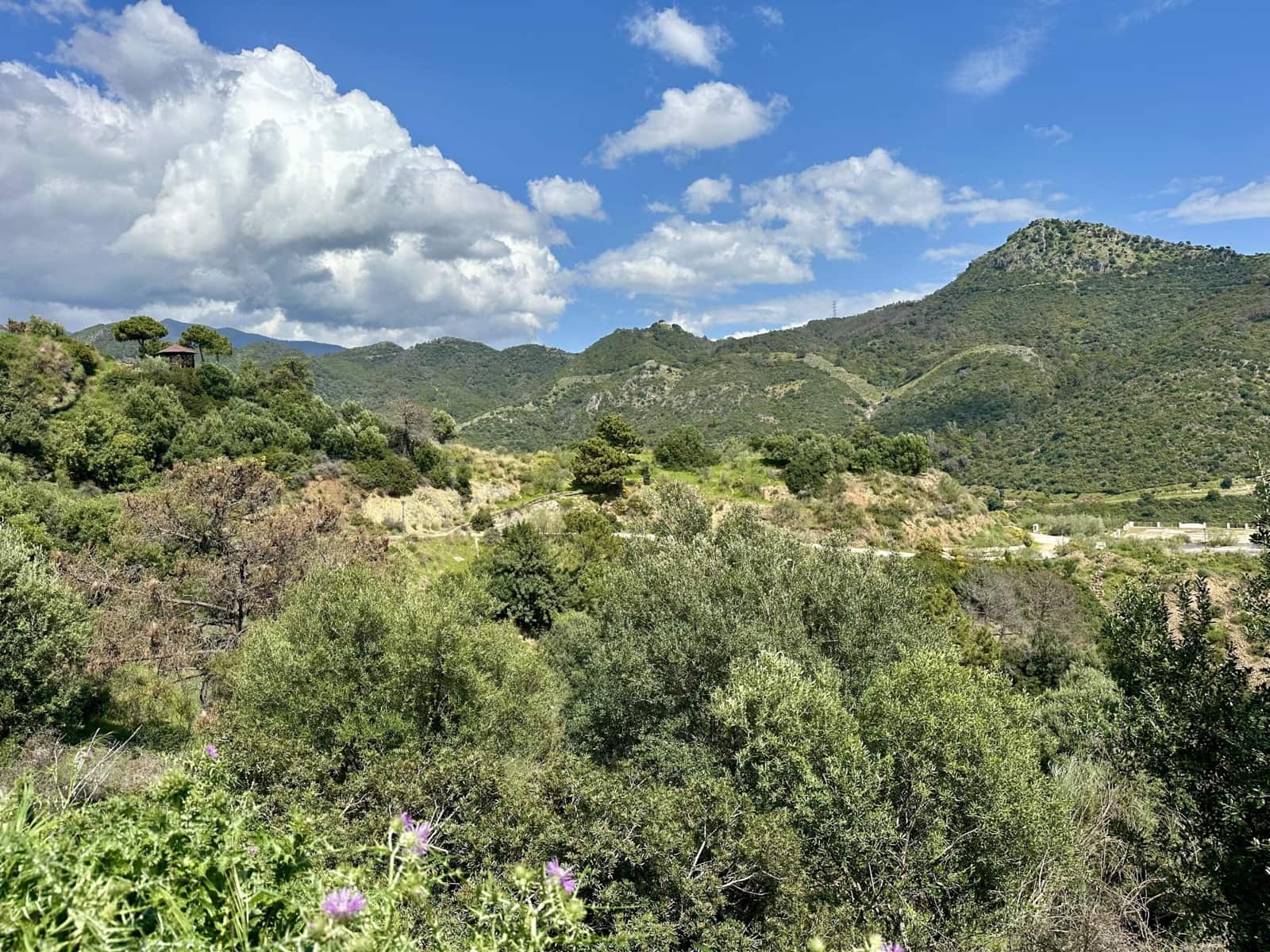 Byggetomt til salgs i Benahavis - € 315 000 (Ref: 8915404)