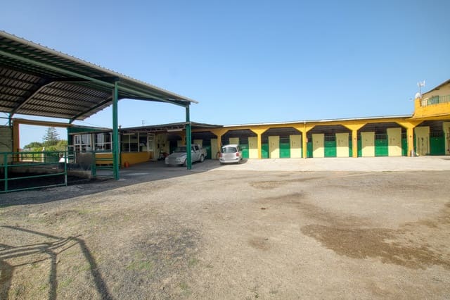 4 slaapkamer Finca/Landhuis te koop in Torre del Mar, Vélez-Málaga met zwembad - € 999.000 (Ref: 9007490)