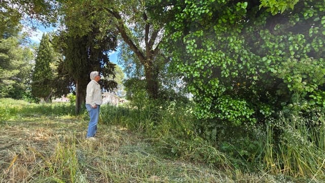 Teren niezagospodarowany na sprzedaż w Setenil de las Bodegas - 800 000 € (Ref: 9023766)