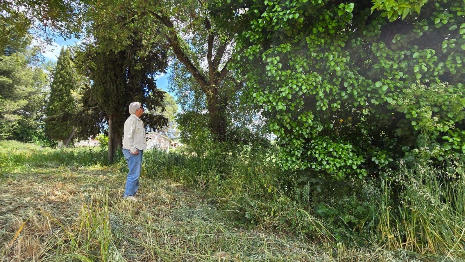 Undeveloped Land for sale in Setenil de las Bodegas - € 800,000 (Ref: 9023766)