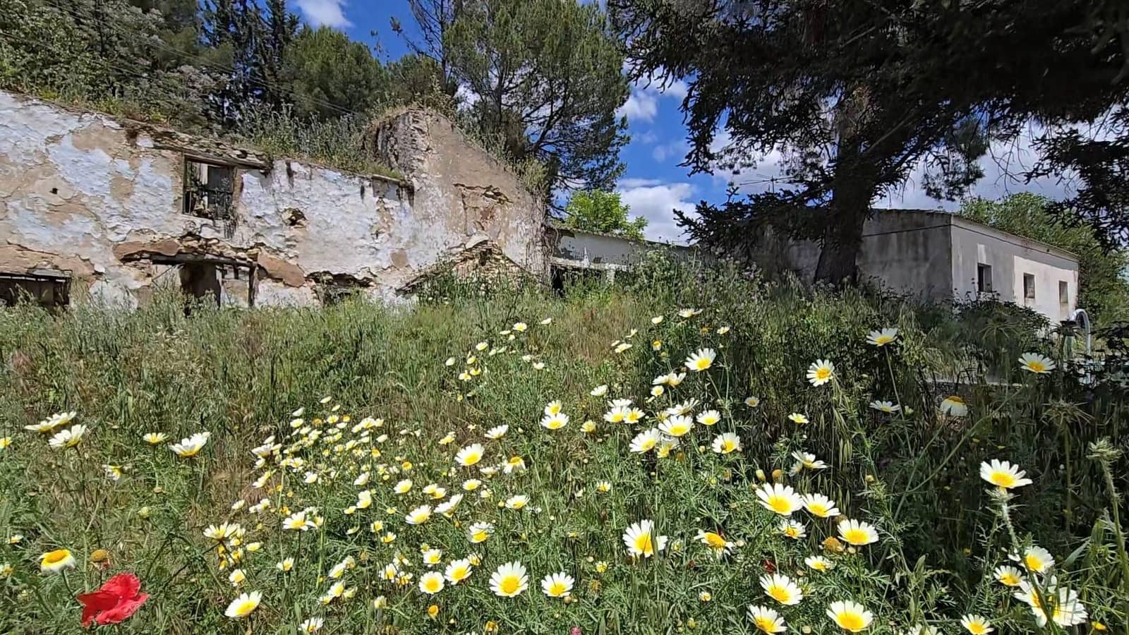 Undeveloped Land for sale in Setenil de las Bodegas - € 800,000 (Ref: 9023766)