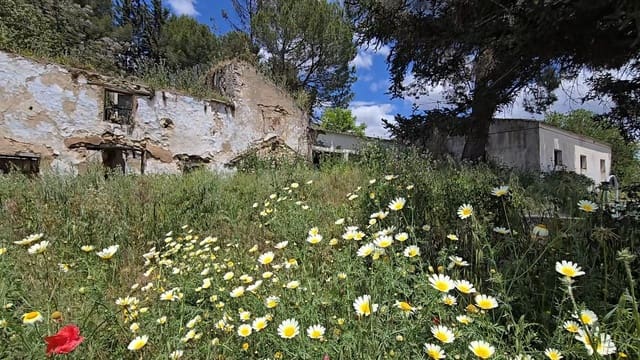 Undeveloped Land for sale in Setenil de las Bodegas - € 800,000 (Ref: 9023766)