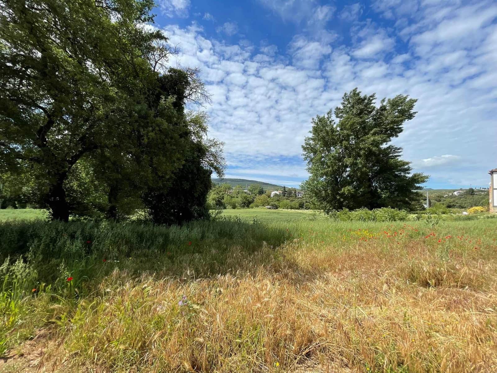 Undeveloped Land for sale in Setenil de las Bodegas - € 800,000 (Ref: 9023766)