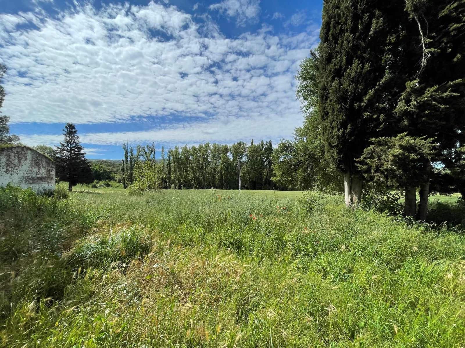 Undeveloped Land for sale in Setenil de las Bodegas - € 800,000 (Ref: 9023766)