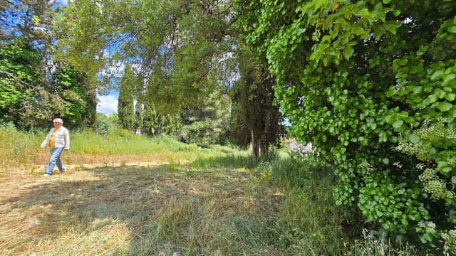 Undeveloped Land for sale in Setenil de las Bodegas - € 800,000 (Ref: 9023766)