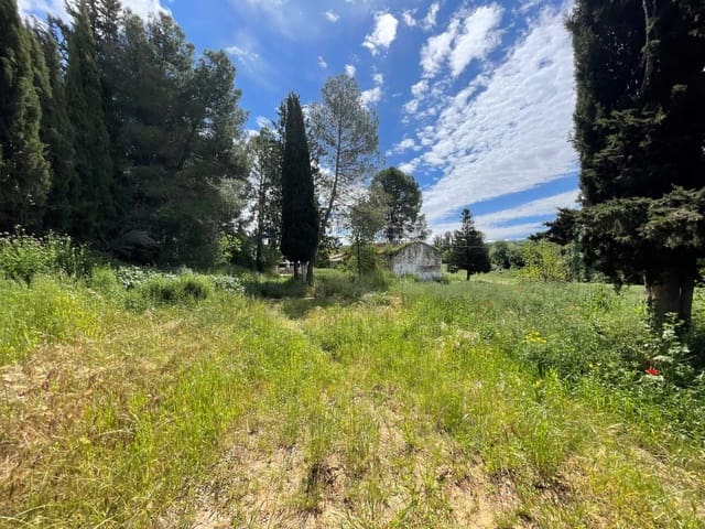 Undeveloped Land for sale in Setenil de las Bodegas - € 800,000 (Ref: 9023766)