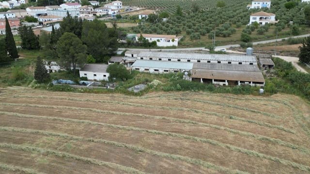 Terreno Não Urbanizado para venda em Setenil de las Bodegas - 800 000 € (Ref: 9023766)