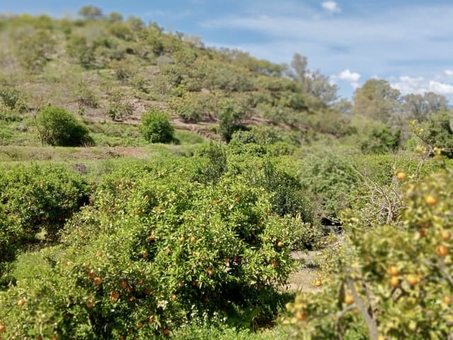 Grunde uden byggetilladelser til salg i Coín - € 200.000 (Ref: 9114314)