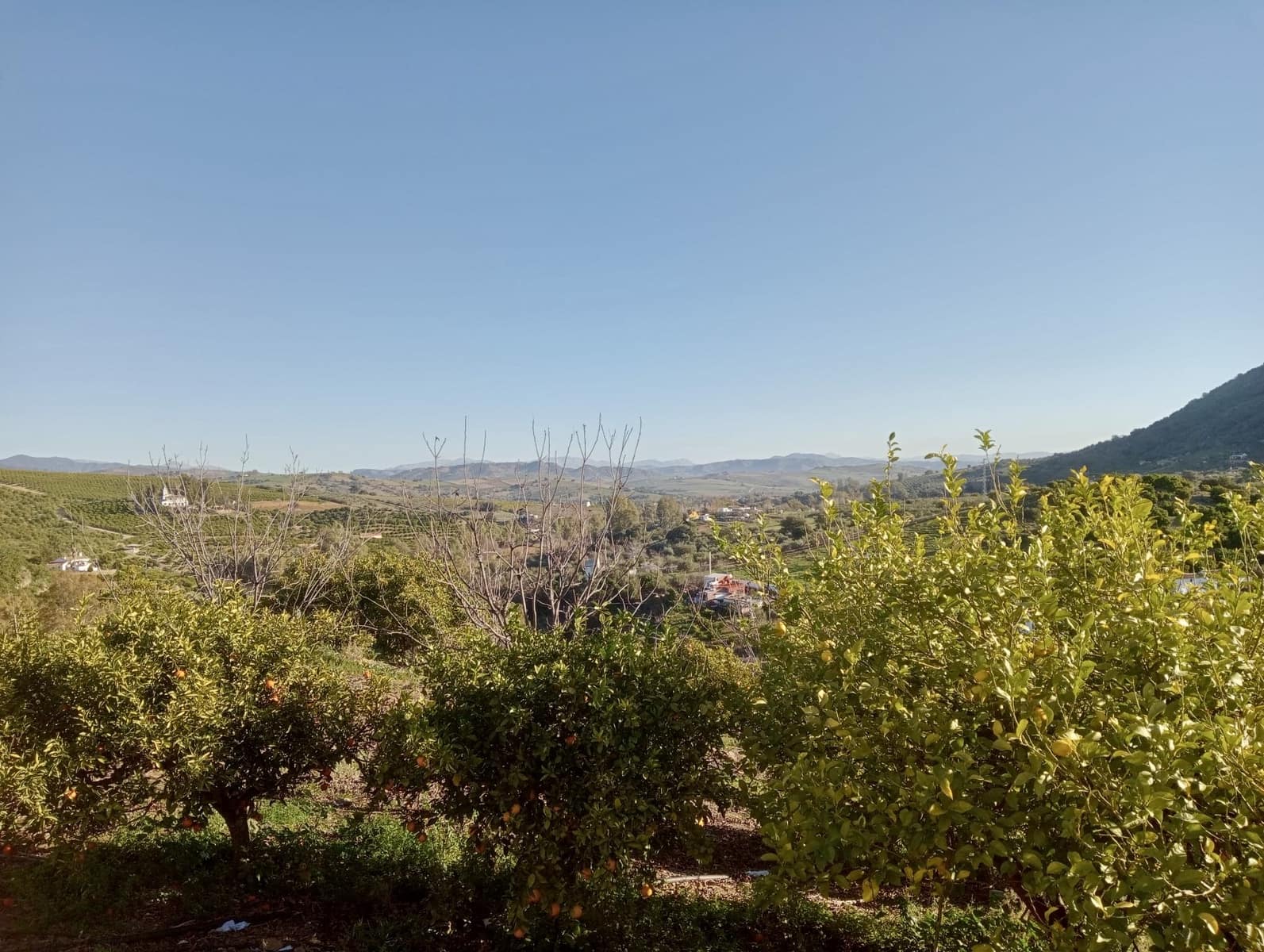 Grunde uden byggetilladelser til salg i Coin - € 200.000 (Ref: 9114314)