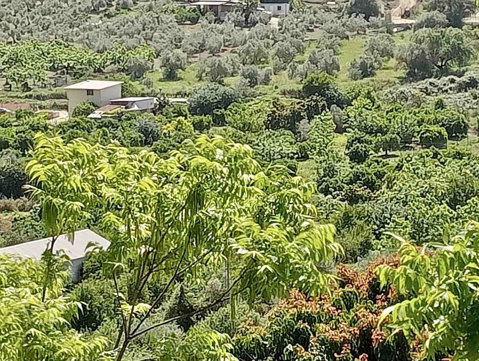 Grunde uden byggetilladelser til salg i Coin - € 200.000 (Ref: 9114314)