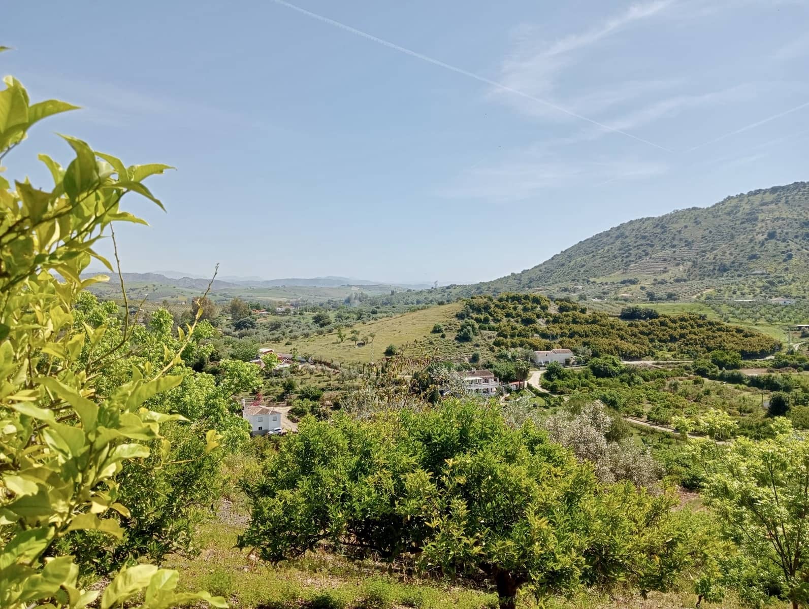 Grunde uden byggetilladelser til salg i Coin - € 200.000 (Ref: 9114314)