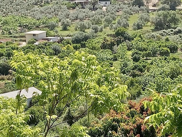 Grunde uden byggetilladelser til salg i Coín - € 200.000 (Ref: 9114314)