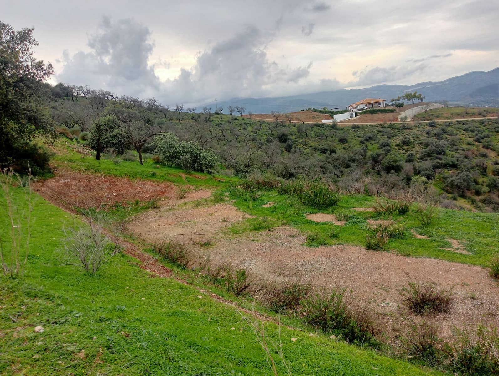 Grunde uden byggetilladelser til salg i Guaro - € 45.000 (Ref: 9134635)