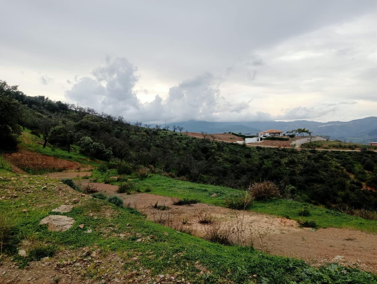 Grunde uden byggetilladelser til salg i Guaro - € 45.000 (Ref: 9134635)