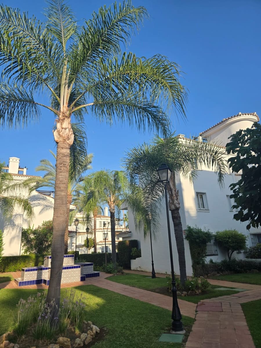 2 bedroom Apartment for rent in Marbella with pool - € 1,850 (Ref: 9183824)