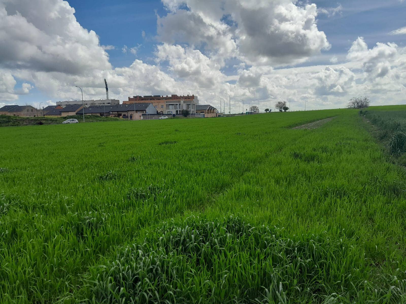 Grunde uden byggetilladelser til salg i El Escorial - € 2.057.000 (Ref: 9349418)